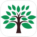 秀木林app