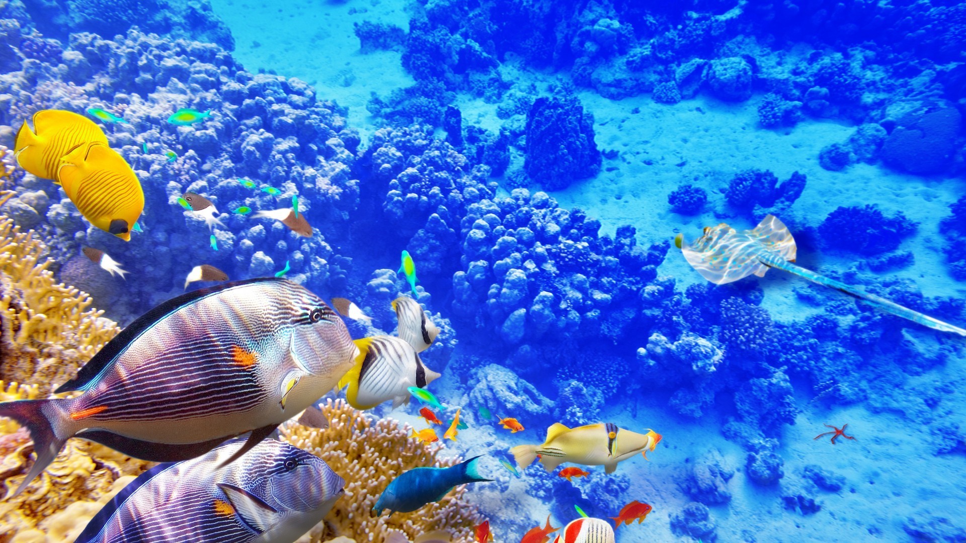 3D海底世界动态壁纸下载app截图