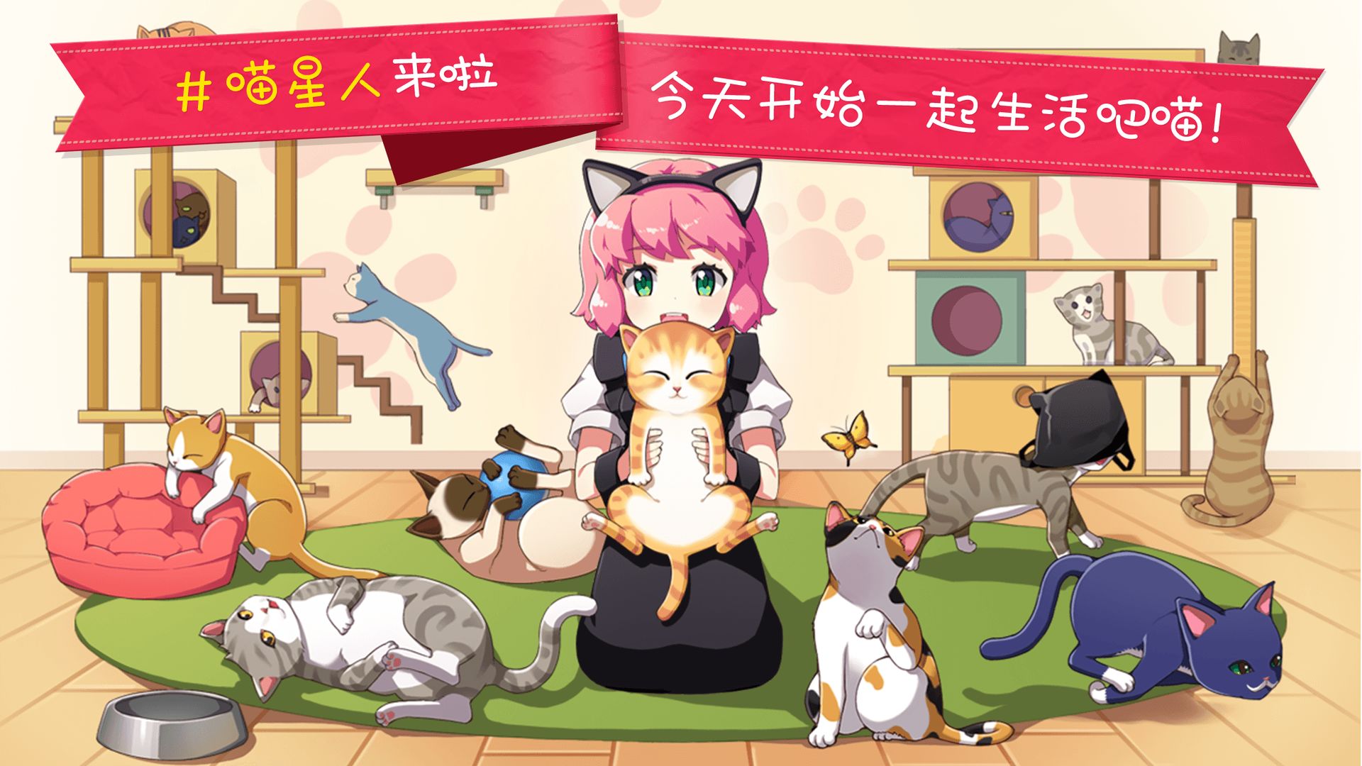 猫猫咖啡屋最新手游下载app截图
