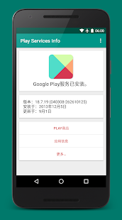 Play服务信息app截图