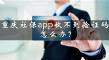 重庆社保app收不到验证码怎么办？具体操作详解