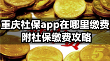 重庆社保app怎么缴费？附社保缴费攻略