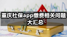 重庆社保app缴费问题全解读