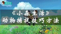 《小森生活》动物怎么捕捉？小森生活动物捕捉技巧方法