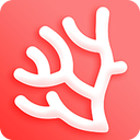 珊瑚文学破解版app
