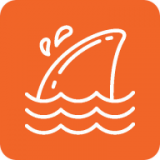 飞鲨壁纸最新版app