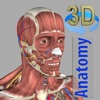 3D Anatomyapp