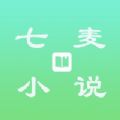 七麦小说app下载iosapp