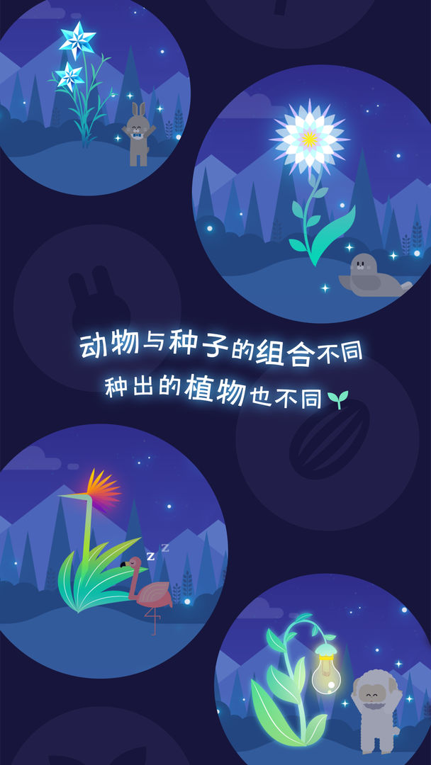 夜之森app截图