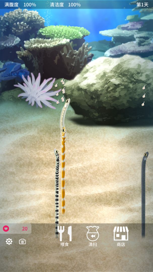 养育花园鳗的治愈游戏app截图