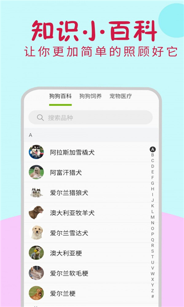 小狗翻译器免费版app截图