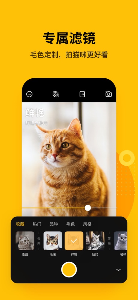 爪叽宠物免费版app截图