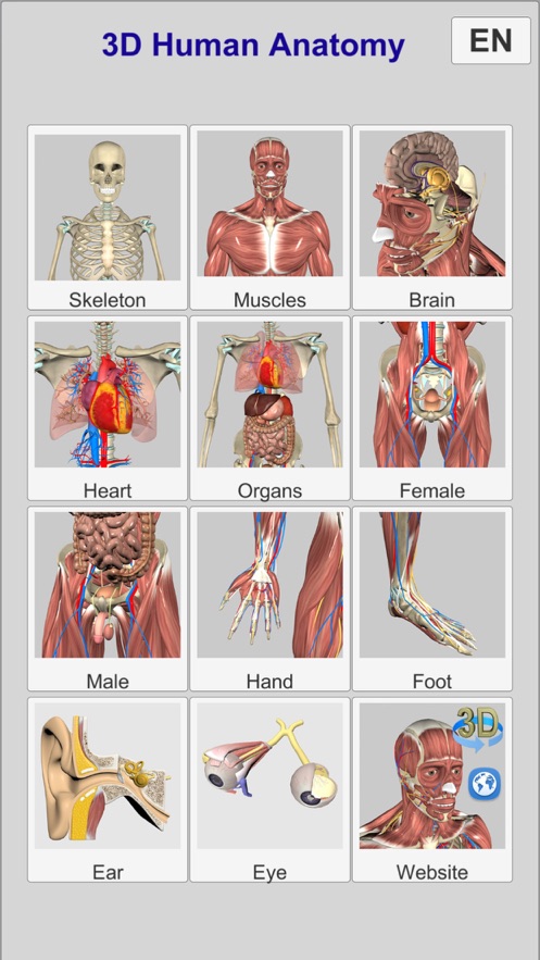 3D Anatomyapp截图