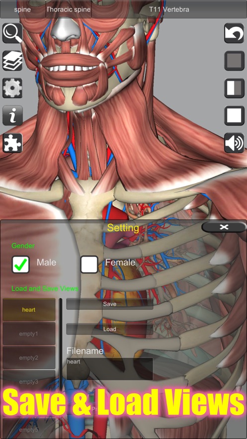 3D Anatomyapp截图