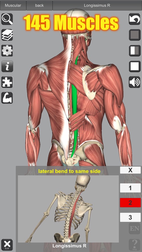 3D Anatomy中文版app截图