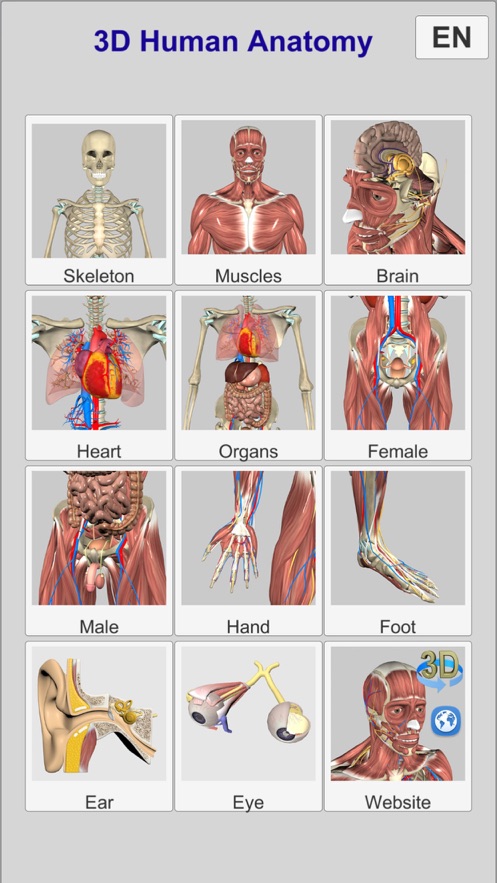 3D Anatomy中文版app截图