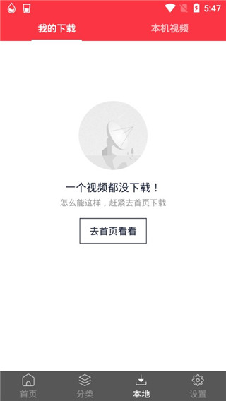 海豚动态壁纸app截图