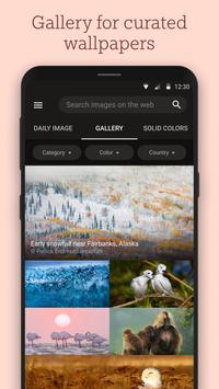 Bing Wallpapers必应手机壁纸免费版app截图