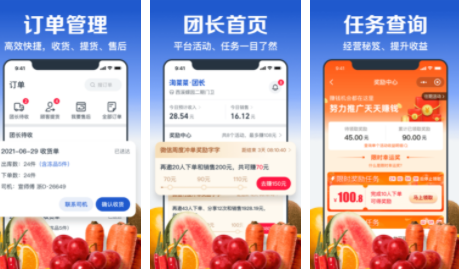 淘菜菜团长app安卓版