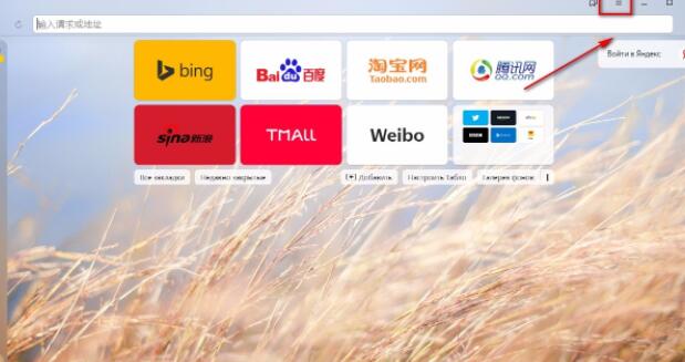 yandex自定义主页如何设置(Yandex Browser设置浏览主题的方法)