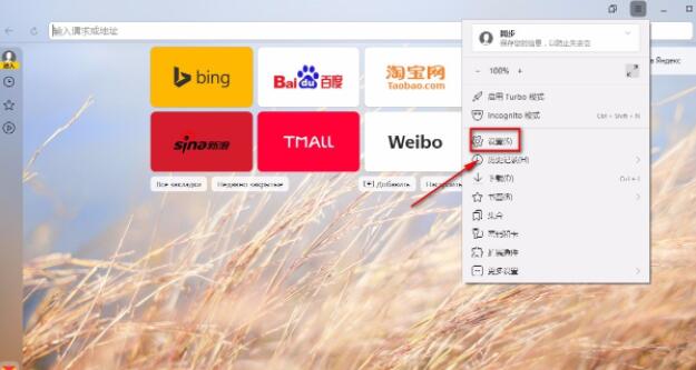 yandex自定义主页如何设置(Yandex Browser设置浏览主题的方法)