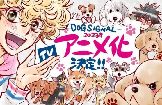 漫画《DOG SIGNAL》确定TV动画化