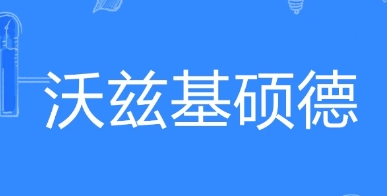 《哔哩哔哩》沃兹基硕德梗的来源及出处