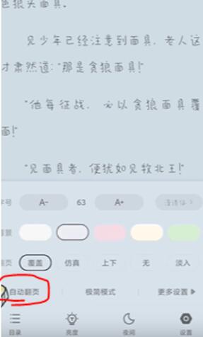 《书旗小说》自动阅读如何设置