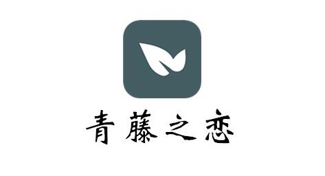 《青藤之恋》如何设置情感状态