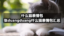 什么猫表情包，张duangduang什么猫表情包汇总