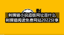 刺猬猫小说盗版网址是什么(刺猬猫阅读免费网站2022分享)