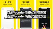 百度Wonder噪模式在哪设置(百度Wonder噪模式设置方法)