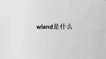 《wland》网站看文链接以及使用操作方法