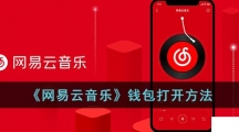 《网易云音乐》钱包打开方法