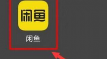 《闲鱼》查看闲鱼币获取的操作方法