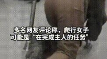 《抖音》主人的任务罢了梗的来源及出处