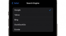 为保Safari默认搜索，谷歌2022年向苹果支付巨额费用