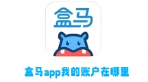 《盒马》app我的账户在哪里查看