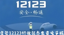 《交管12123》如何查询电子版行驶证