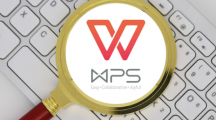 《wps》如何复制表格