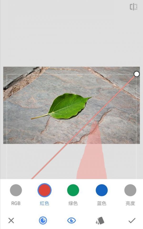 Snapseed怎么让叶子变色的操作方法