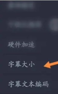 《万能播放器》字幕大小调整方法