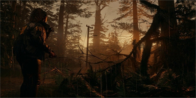 《心灵杀手2》贴图模糊解决方法一览