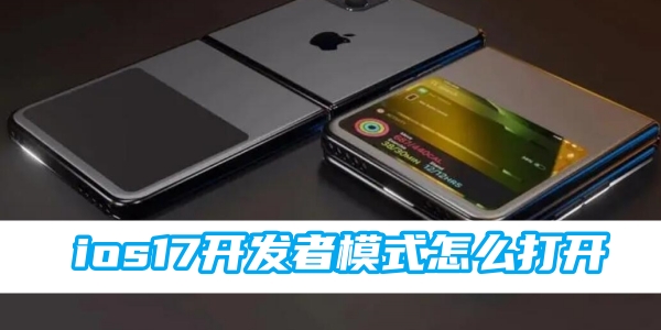 《ios17》开发者模式打开方法