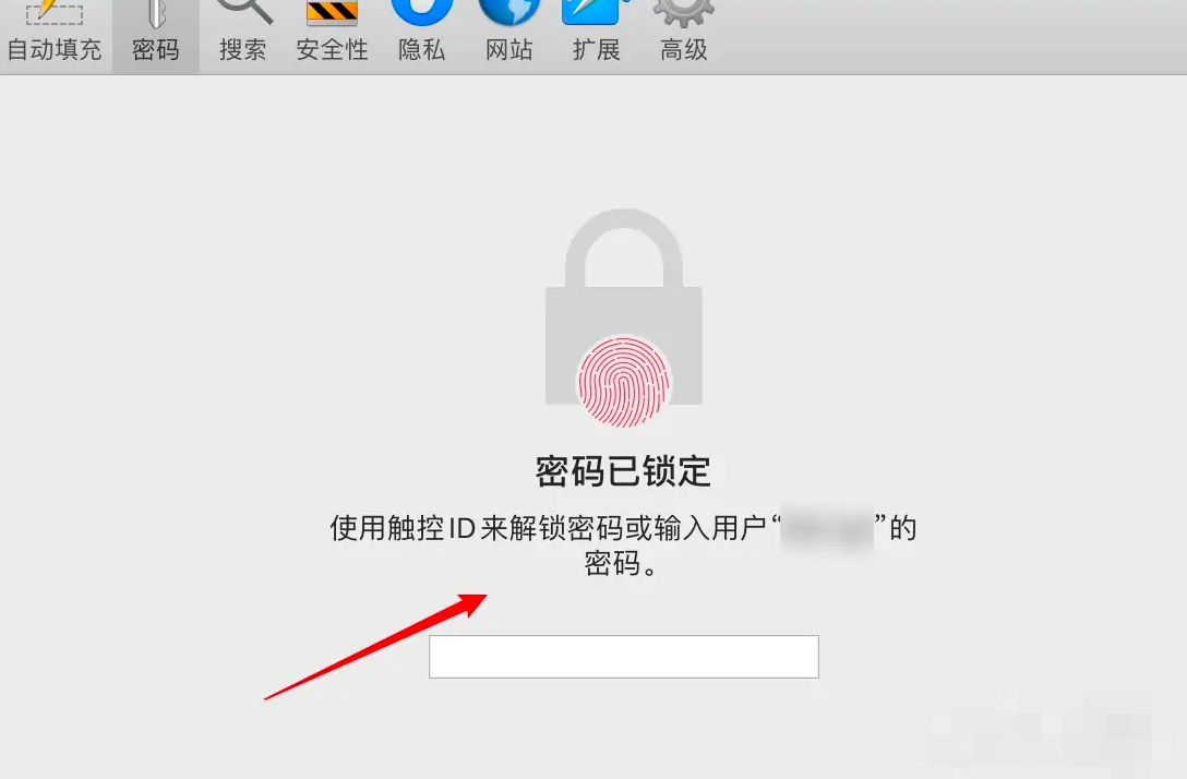 《safari》保存密码的操作方法