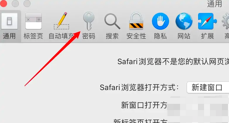 《safari》保存密码的操作方法