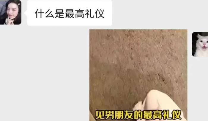 《哔哩哔哩》见男友的最高礼仪梗的来源及出处