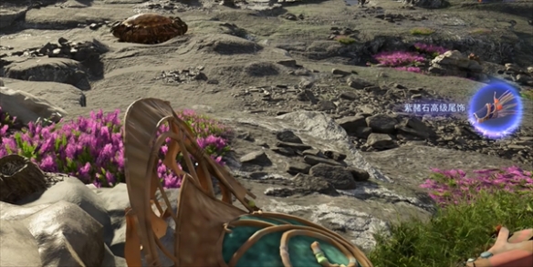 《阿凡达潘多拉边境》庆典谷紫赭石高级尾饰位置一览