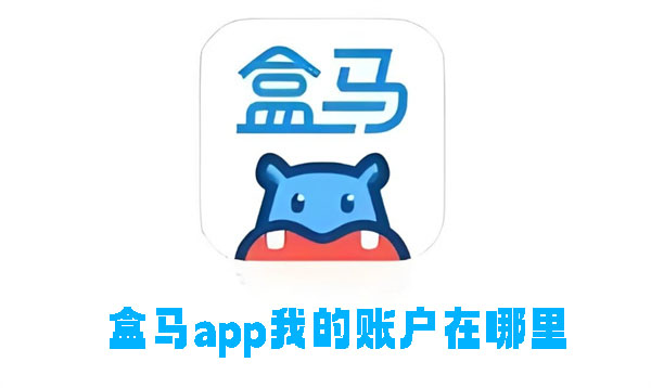 《盒马》app我的账户在哪里查看